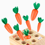 Wooden Carrot Matching Game