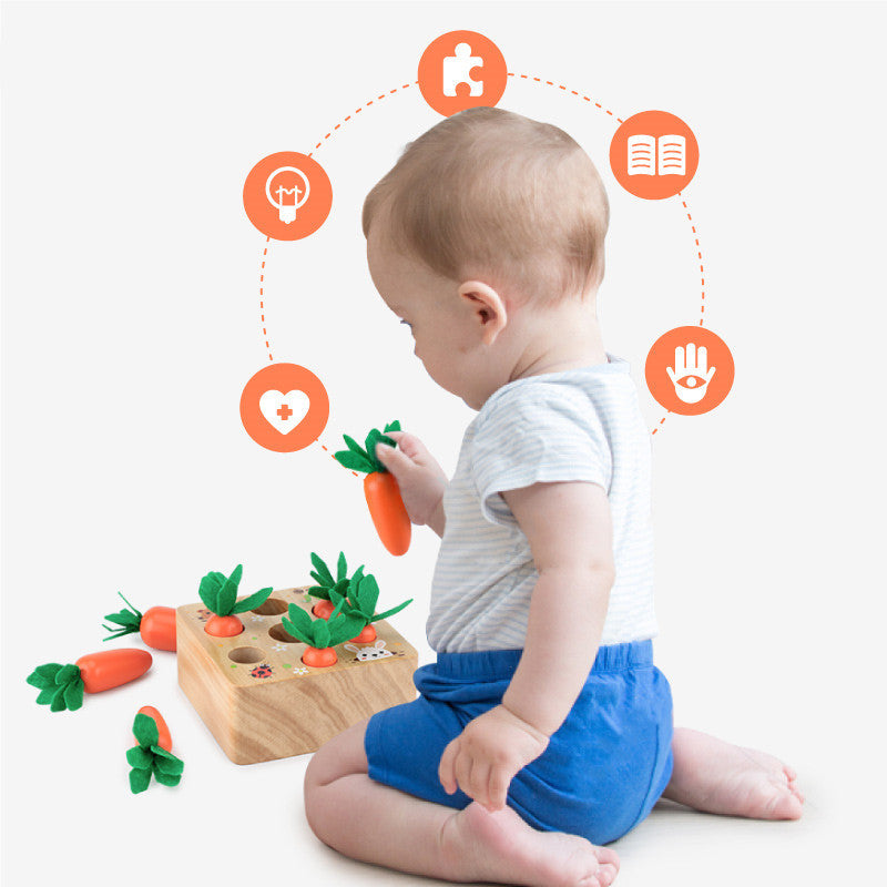 Wooden Carrot Matching Game