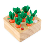 Wooden Carrot Matching Game
