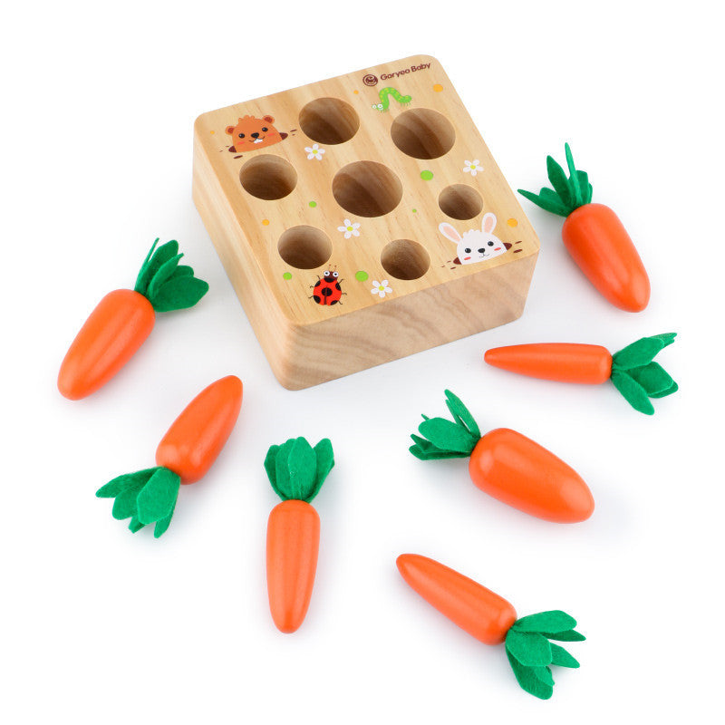 Wooden Carrot Matching Game