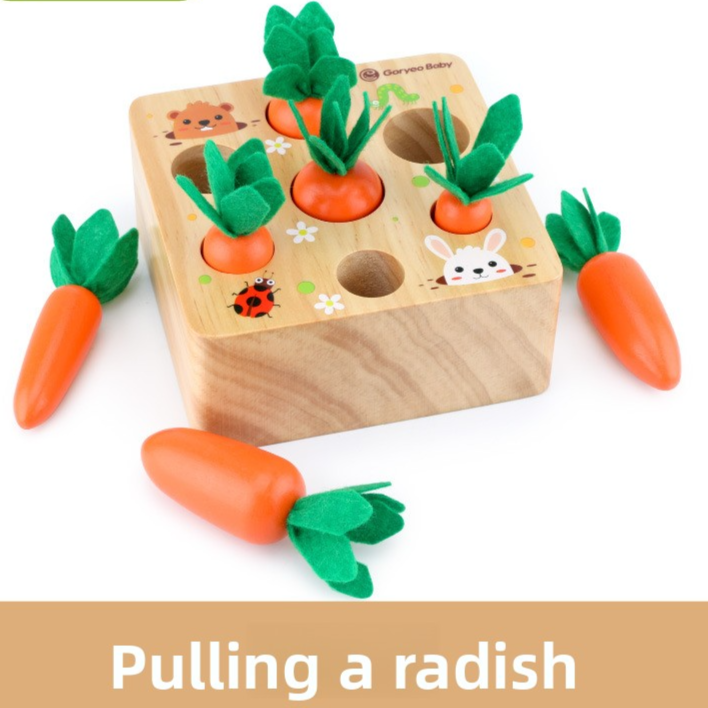Wooden Carrot Matching Game