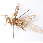 Eight-Model Wooden Insect Assembly Kit