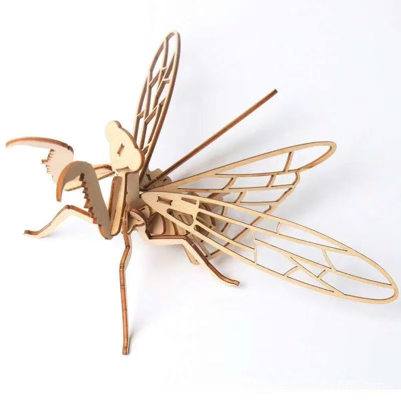Eight-Model Wooden Insect Assembly Kit