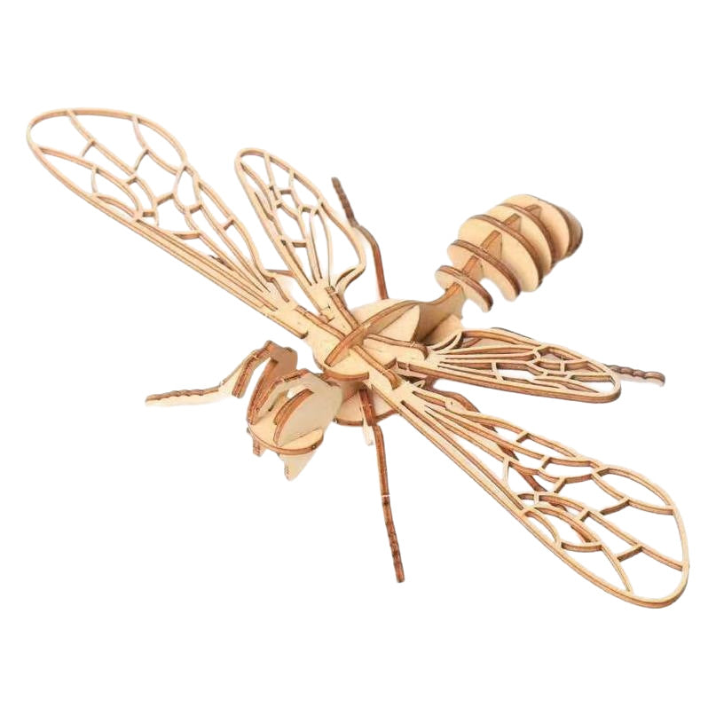 Eight-Model Wooden Insect Assembly Kit