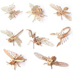 Eight-Model Wooden Insect Assembly Kit
